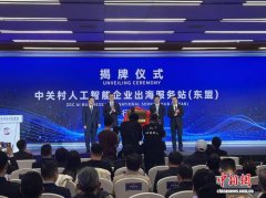 东盟创新合作发展论坛在京举行 生态共建助企出海