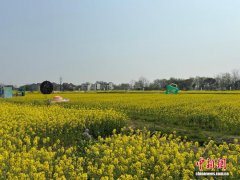 （乡村行·看振兴）踏青享春光 浙江乡村多元业态激活“春日经济”